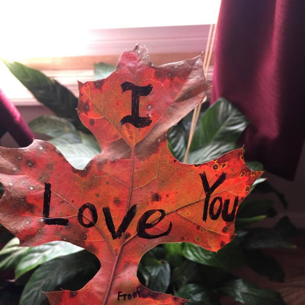 Meet your Posher, Pandora